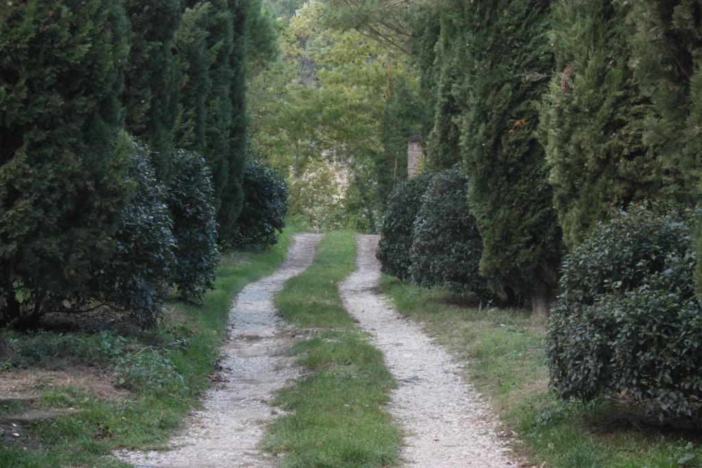 Il Molinaccio Al Rio Chiaro Villa Civitella d'Agliano Exterior photo