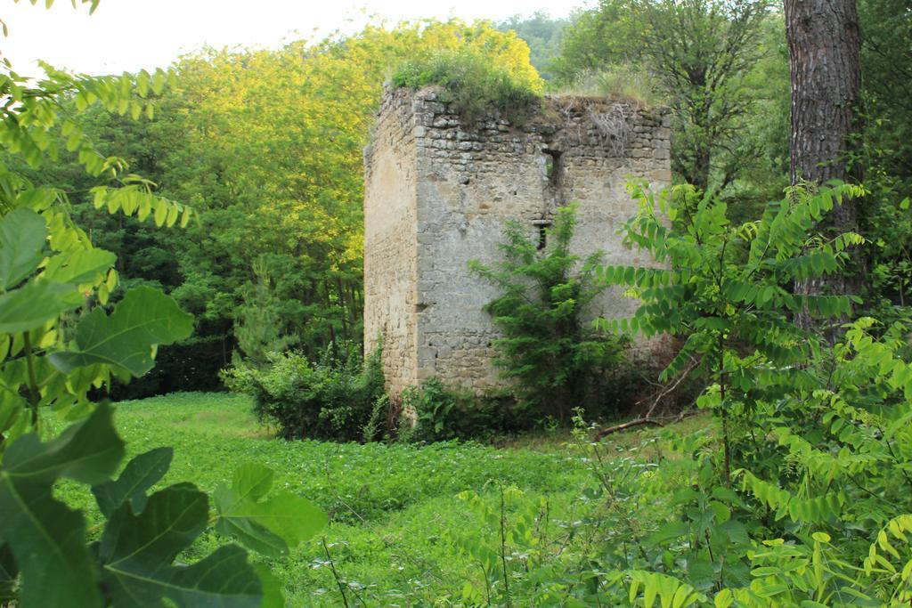 Il Molinaccio Al Rio Chiaro Villa Civitella d'Agliano Exterior photo