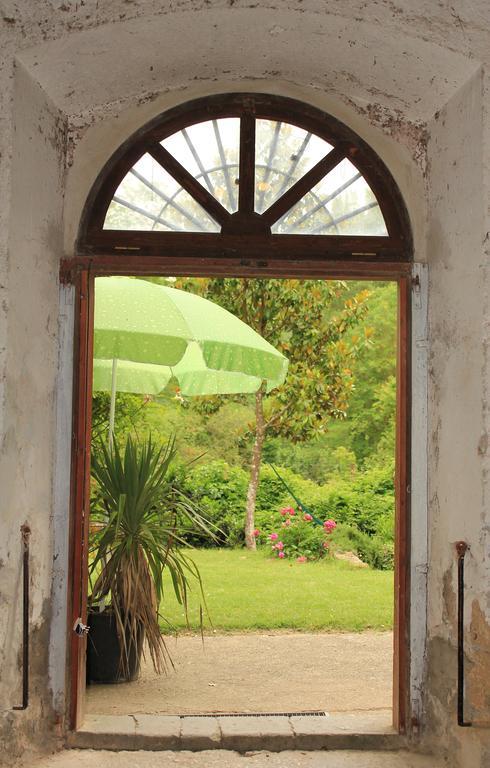 Il Molinaccio Al Rio Chiaro Villa Civitella d'Agliano Exterior photo